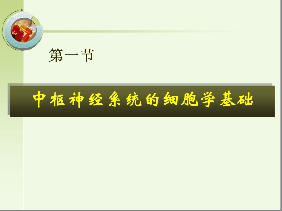 中枢神经系统药理学1汇总课件.ppt_第2页