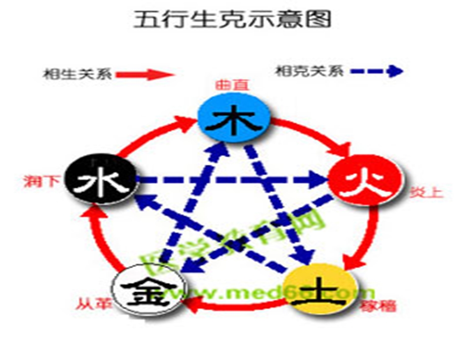 春风拂面话养生课件.ppt_第3页