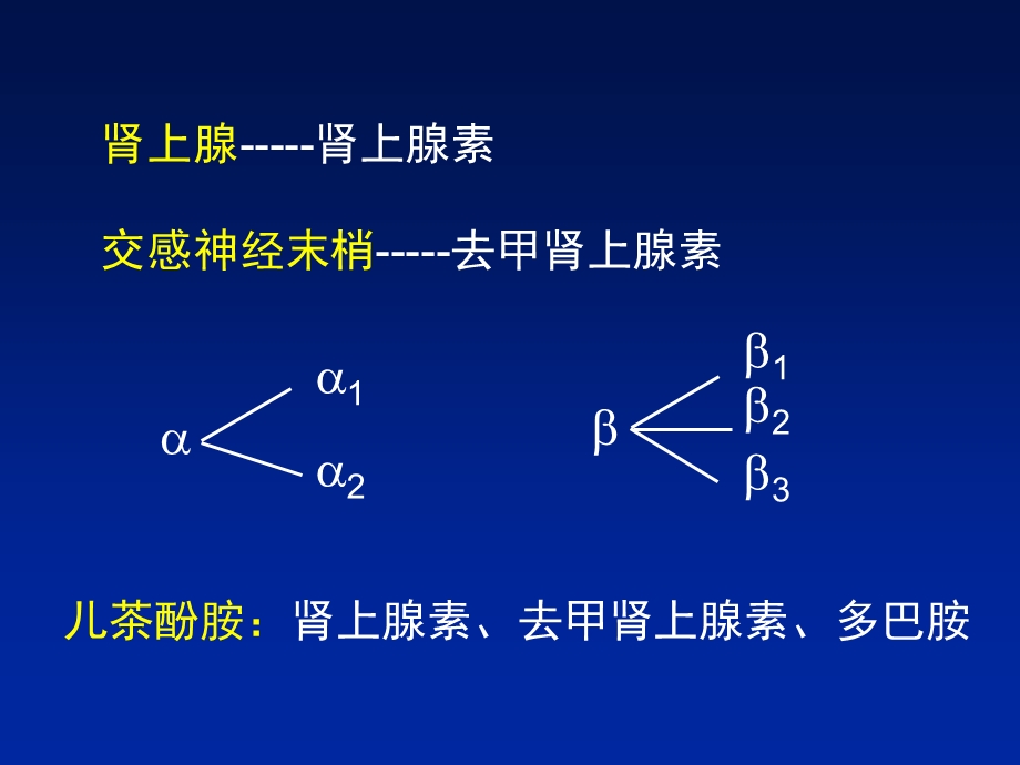 受体阻滞剂在冠心病中的应用课件.ppt_第2页