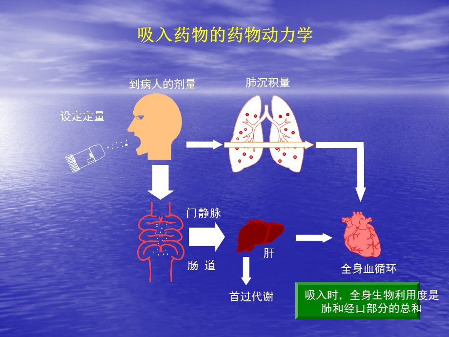 住5-7呼吸内科 --吸入剂的使用课件.ppt_第3页