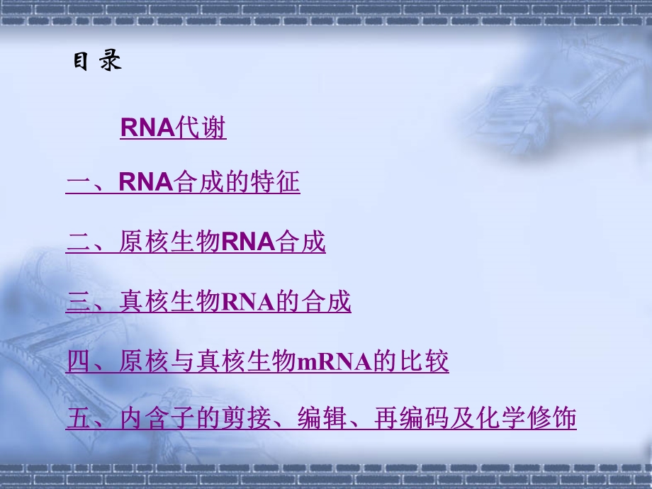 四讲RNA生物合成课件.ppt_第2页