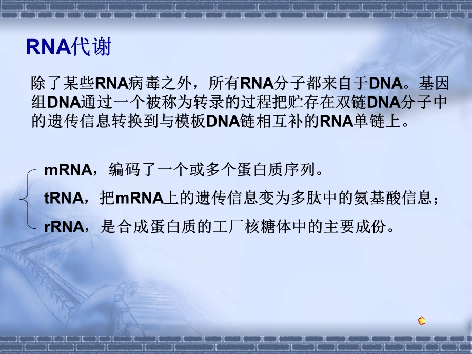 四讲RNA生物合成课件.ppt_第3页