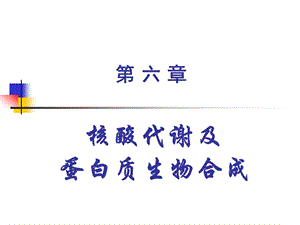 核酸代谢及课件.ppt