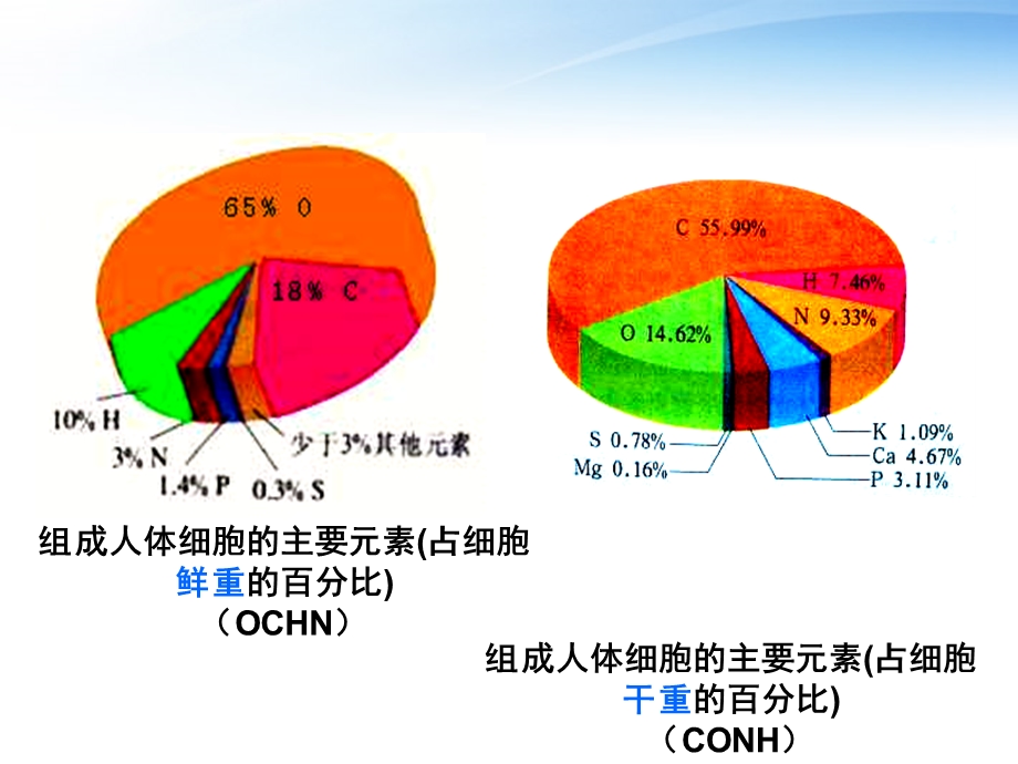 生物体年龄与细胞含水量的关系课件.ppt_第3页