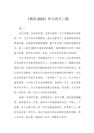 《我的2023》作文 范文三篇.docx