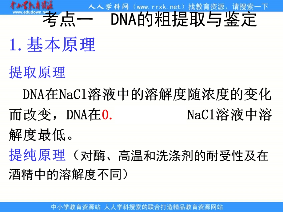 2013人教版选修一专题5《DNA和蛋白质技术》课件.ppt_第2页