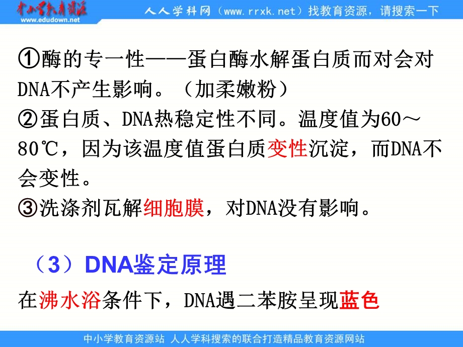 2013人教版选修一专题5《DNA和蛋白质技术》课件.ppt_第3页