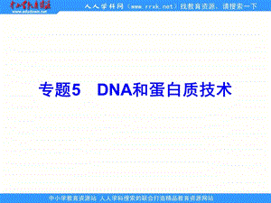 2013人教版选修一专题5《DNA和蛋白质技术》课件.ppt