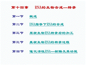 第十三章 RNA生物合成模版ppt课件.ppt