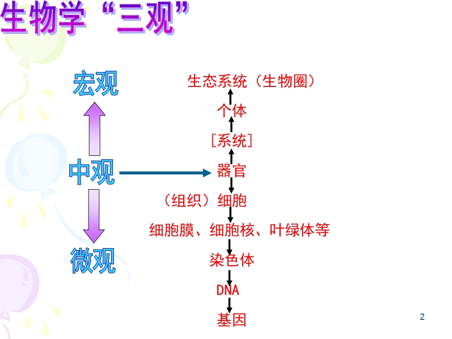 生态系统（生物圈）个体系统器官（组织）细胞细胞膜细课件.ppt_第2页