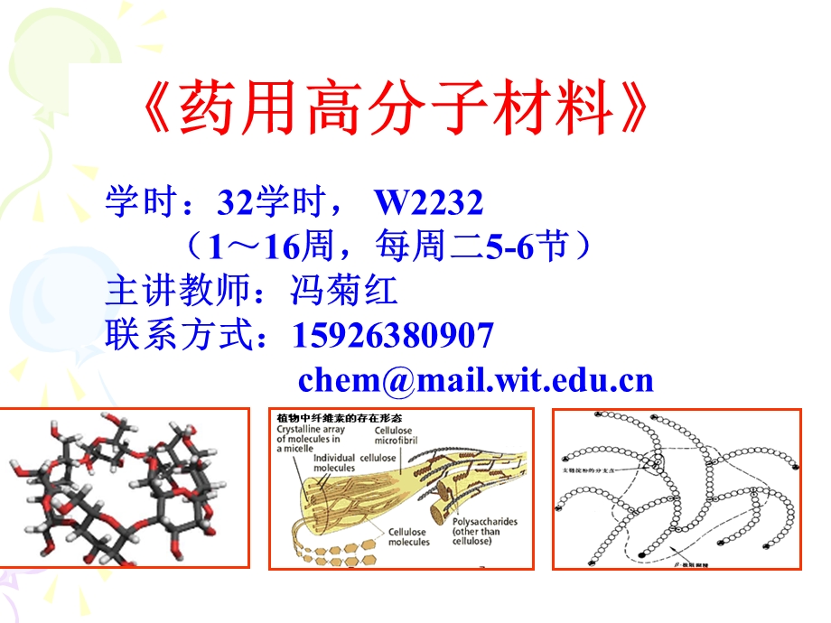 药用高分子材料第一章绪论课件.ppt_第1页