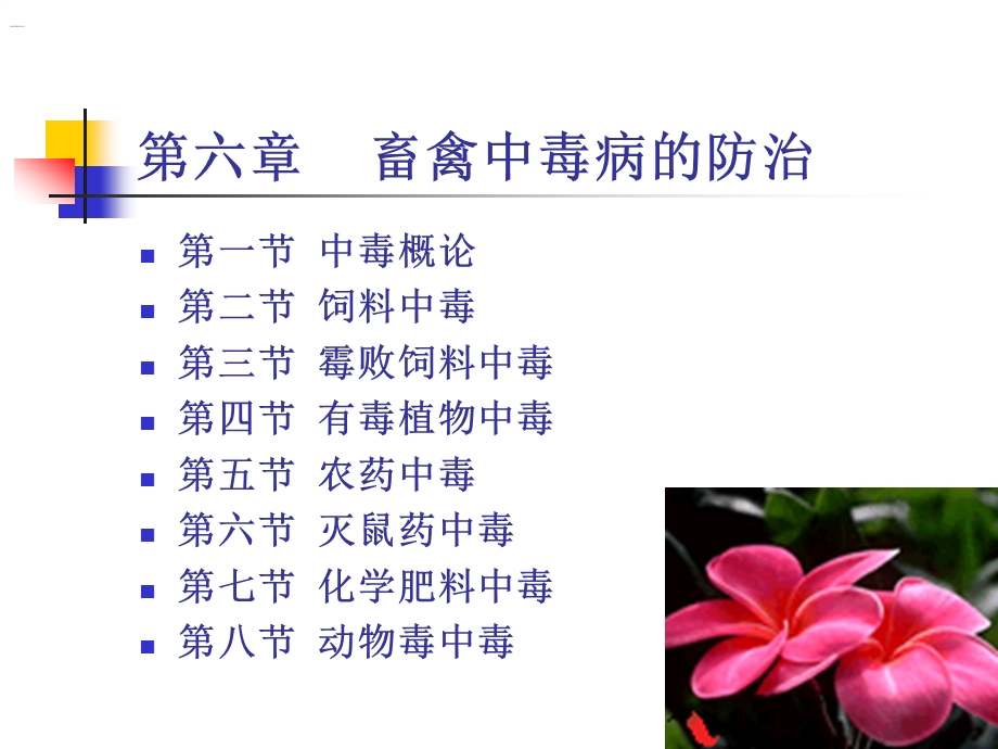 兽医学概论-内科病课件.ppt_第1页