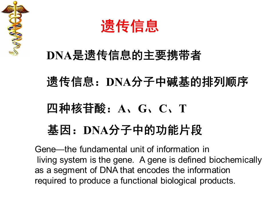 《生物化学教学ppt课件》第十二章 dna生物合成yxh 8年制2013.pptx_第3页