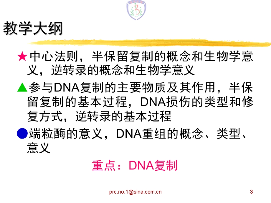 DNA的生物合成_课件.ppt_第3页