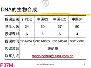 DNA的生物合成_课件.ppt