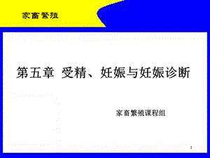 第五章 受精、妊娠与妊娠诊断课件.ppt