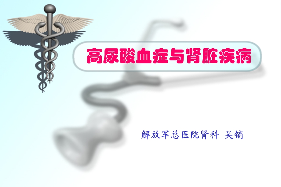 高尿酸血症与肾脏疾病2008 课件.ppt_第1页