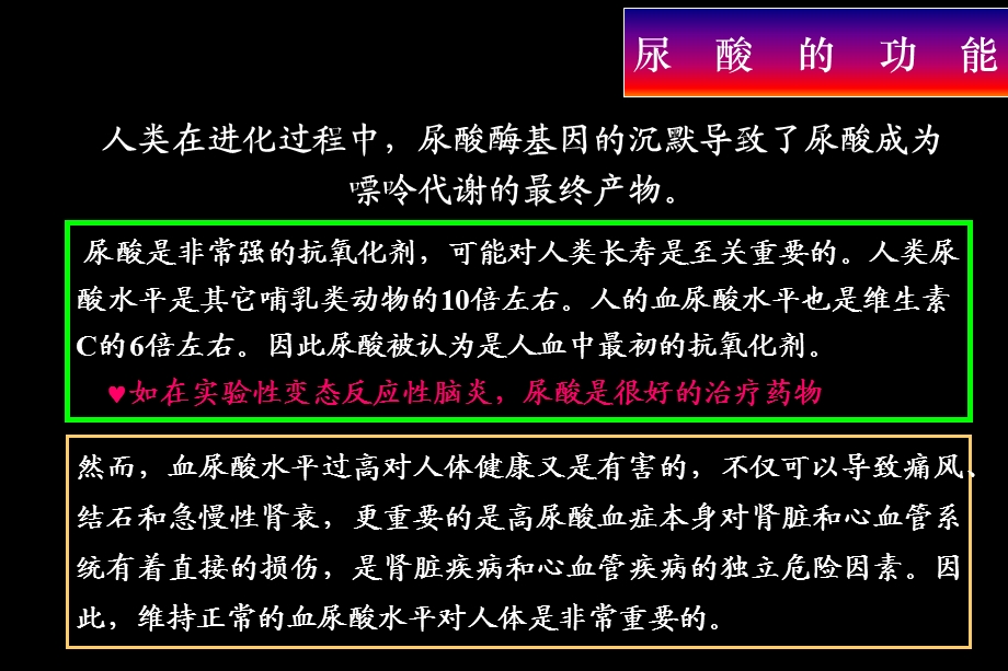 高尿酸血症与肾脏疾病2008 课件.ppt_第3页