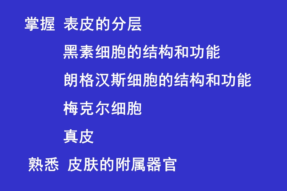 组织学与胚胎学之皮肤资料课件.ppt_第2页