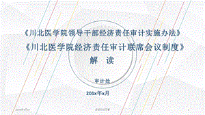 医学院领导干部经济责任审计实施办法课件.pptx