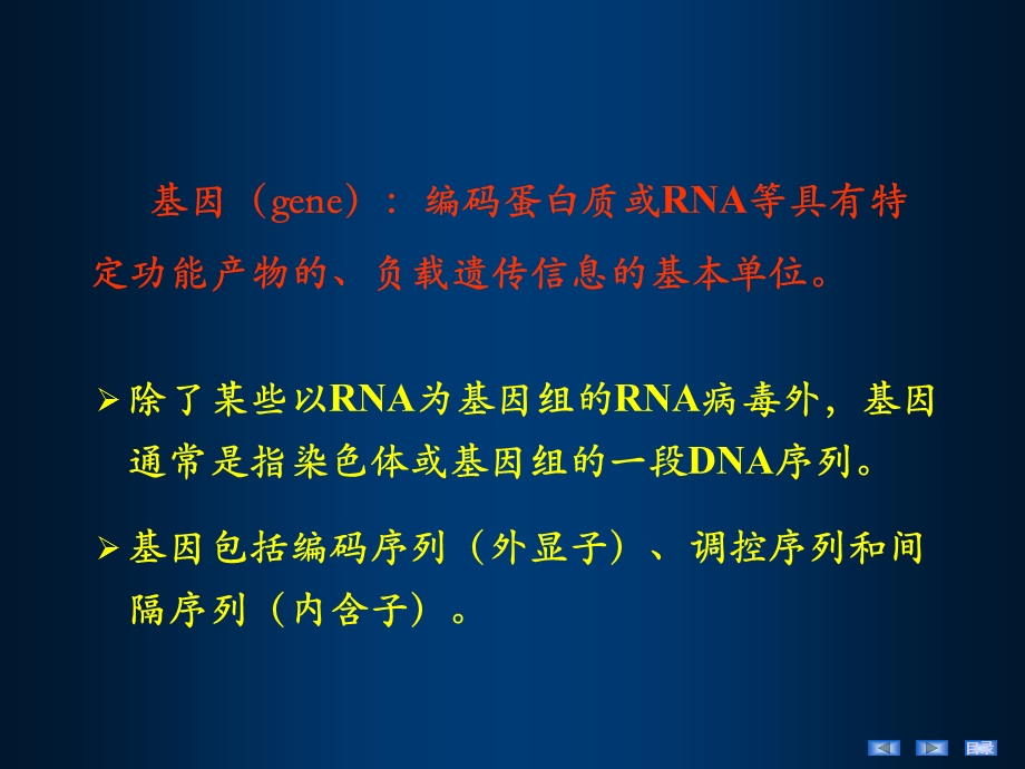 《生物化学与分子生物学精品教学》dna的生物合成课件.ppt_第3页