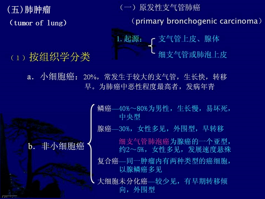 呼吸系统肿瘤X线诊断影像学ppt课件.ppt_第1页