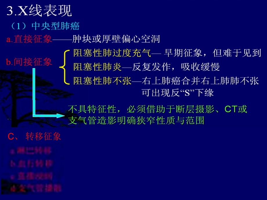 呼吸系统肿瘤X线诊断影像学ppt课件.ppt_第3页