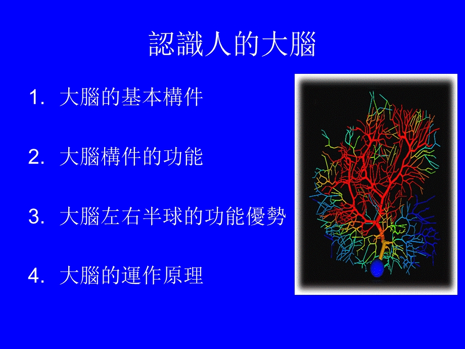 大脑左右半球的功能优势课件.ppt_第1页