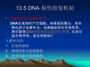 DNA损伤修复机制课件.ppt