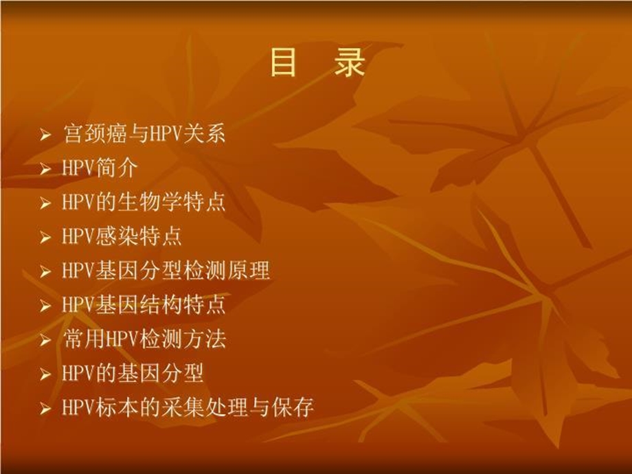 HPV分型的检测-课件.ppt_第2页