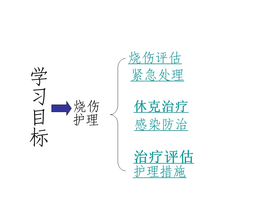 烧伤病人的护理课件ppt.ppt_第2页