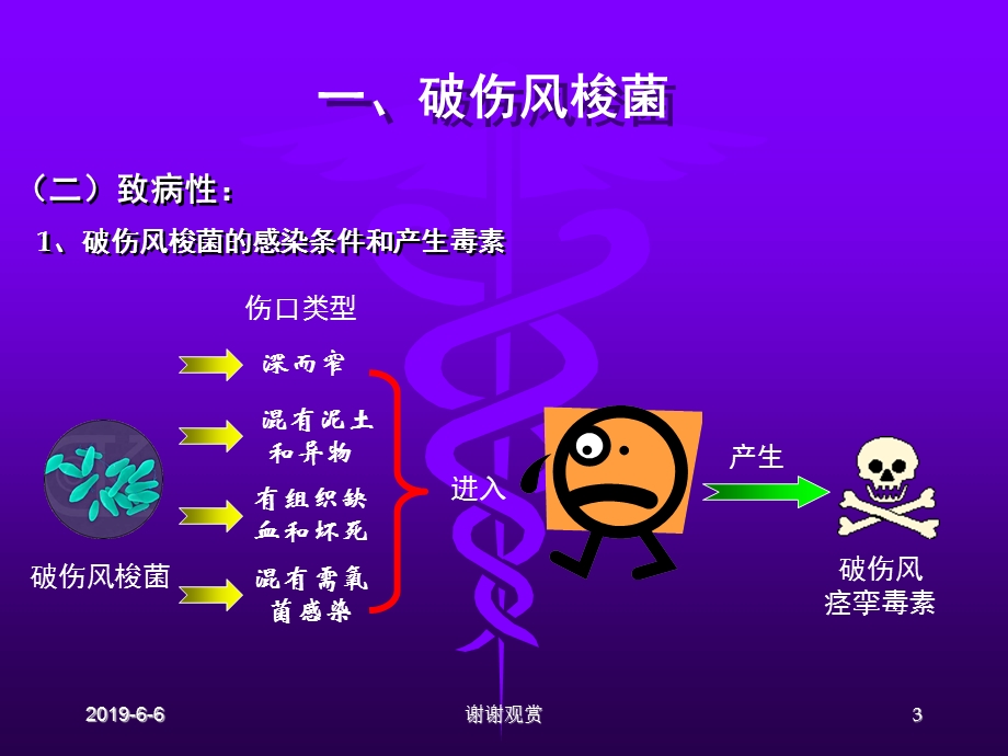 厌氧性细菌厌氧性细菌是一群必须在无氧条件下才能生长分析模板课件.pptx_第3页