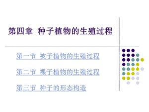 种子植物的生殖过程课件.ppt