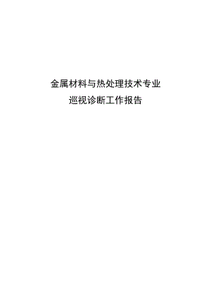 金属材料与热处理技术专业巡视诊断报告.doc