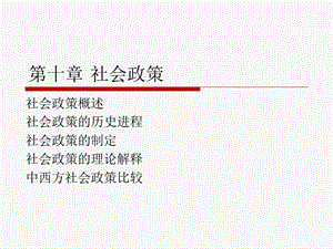 《社会学概论》ppt课件第10章 社会政策.ppt