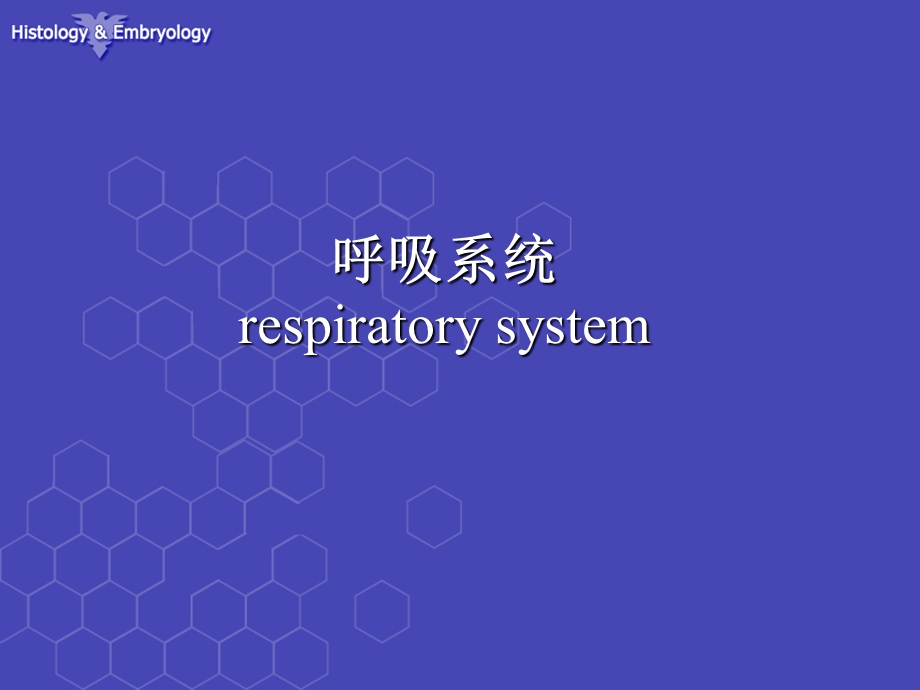 呼吸系统组织结构课件.ppt_第1页