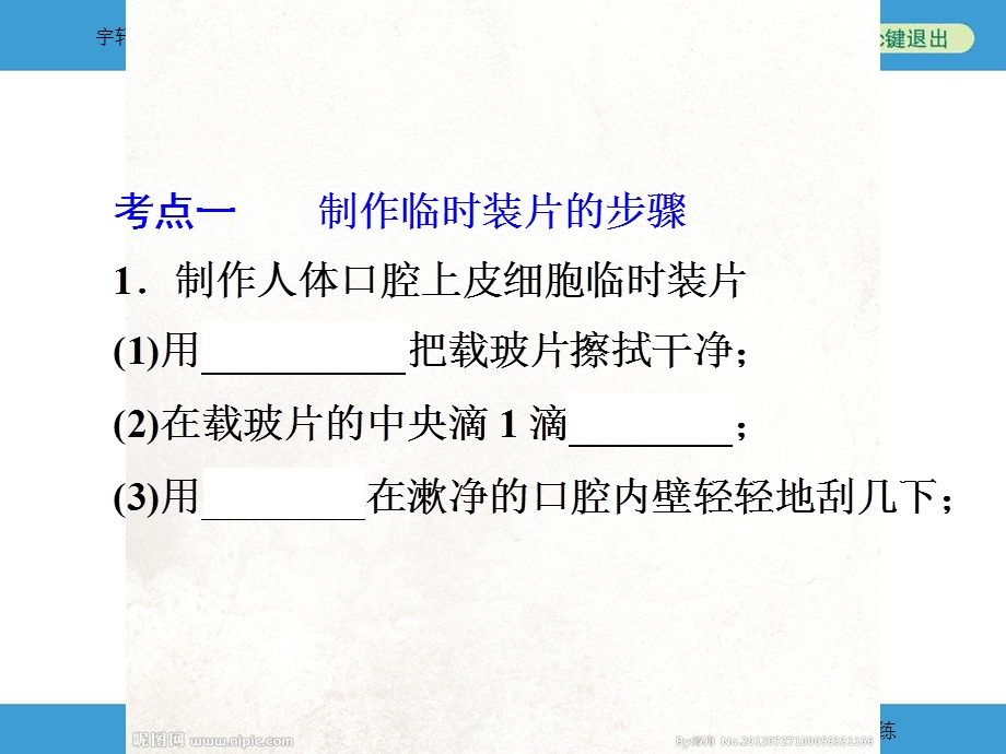 2015年中考科学（浙教版）总复习ppt课件专题2 构成生物体的细胞组织器官和系统.ppt_第3页