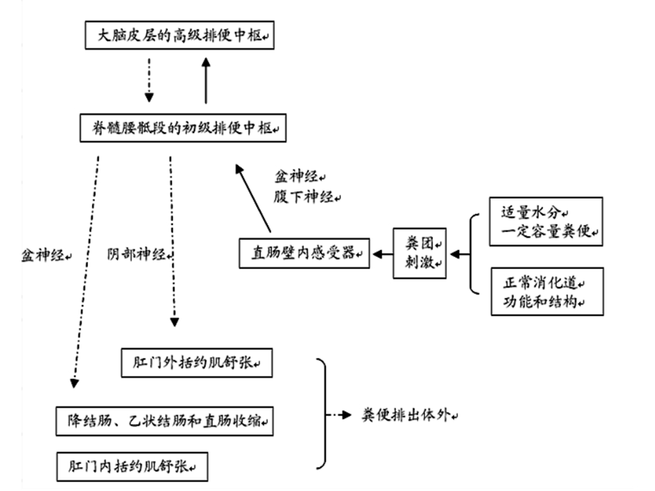 肛肠ppt课件肛管直肠测压（水灌注）.ppt_第3页