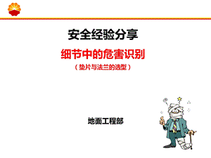 《细节中的危害识别——垫片与法兰的选型》的安全经验分享解读课件.ppt