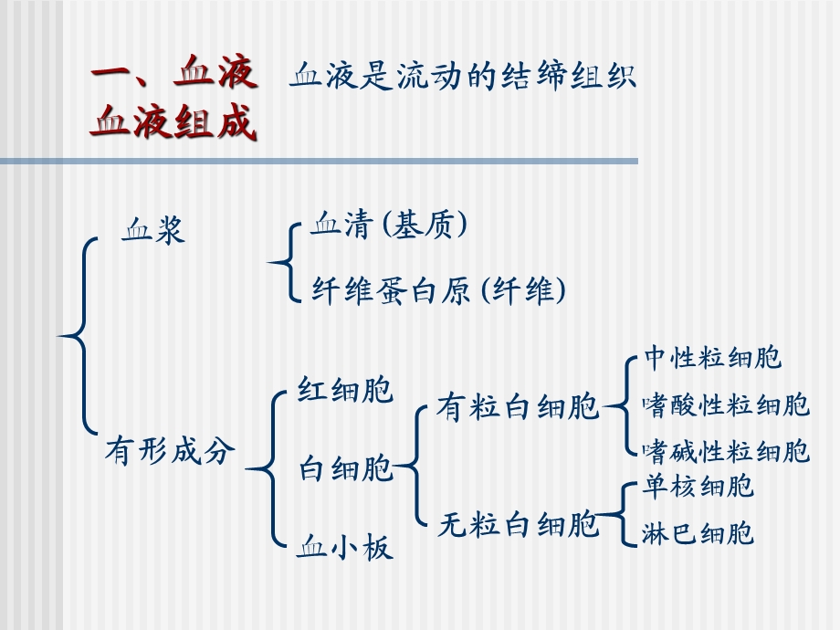 血液及造血组织ppt课件.ppt_第2页