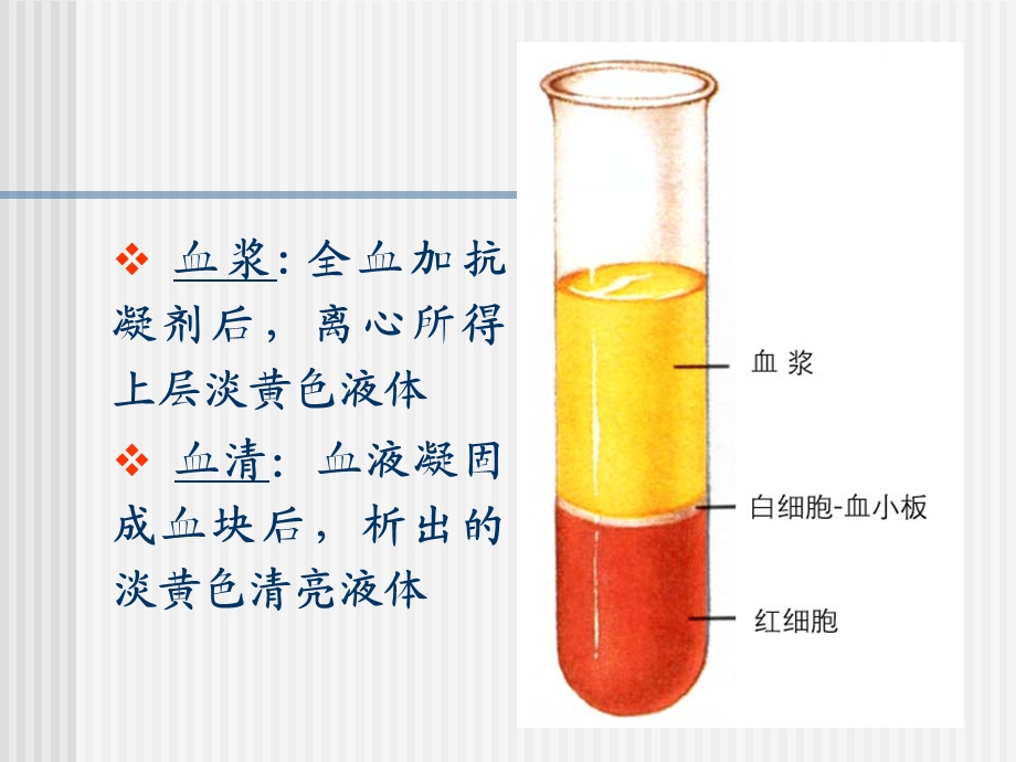 血液及造血组织ppt课件.ppt_第3页