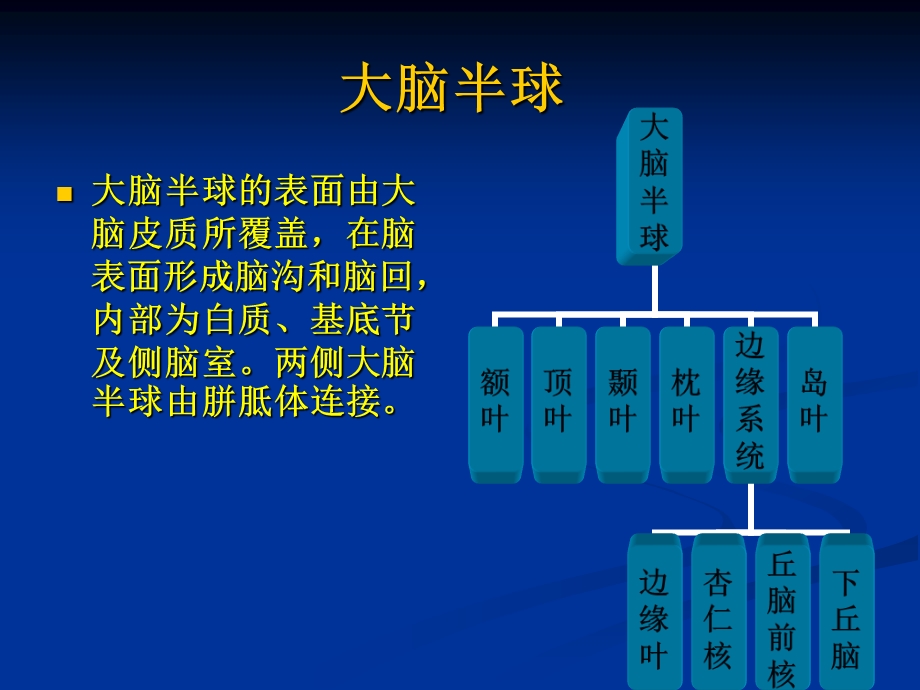 大脑半球病损表现与定位课件.ppt_第2页