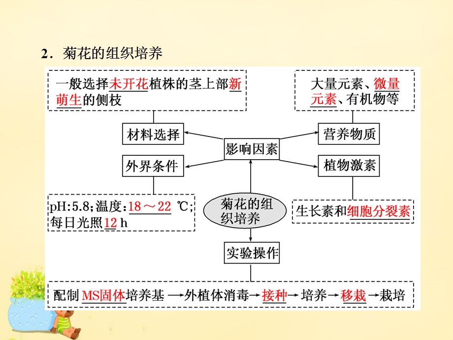 2017届高三生物一轮复习 生物技术实践 第三讲 植物组织培养、DNA技术及植物有效成分的提取ppt课件（选修1）.ppt_第2页