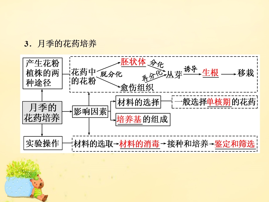 2017届高三生物一轮复习 生物技术实践 第三讲 植物组织培养、DNA技术及植物有效成分的提取ppt课件（选修1）.ppt_第3页