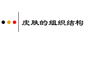 皮肤的组织结构宝典课件.ppt