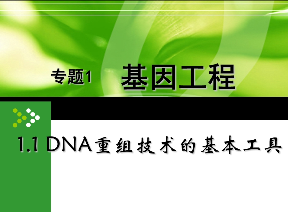 DNA重组技术的基本工具课件.ppt_第1页