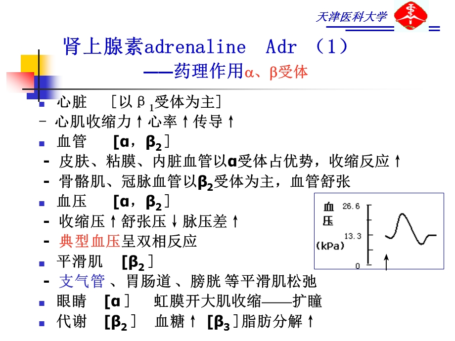 拟抗肾上腺素药ppt课件.ppt_第3页