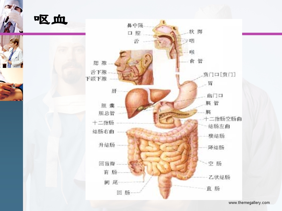 呕血与便血CCU精要课件.ppt_第2页