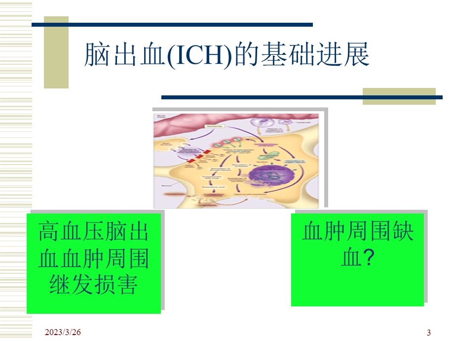 脑出血预防与防治课件.ppt_第3页