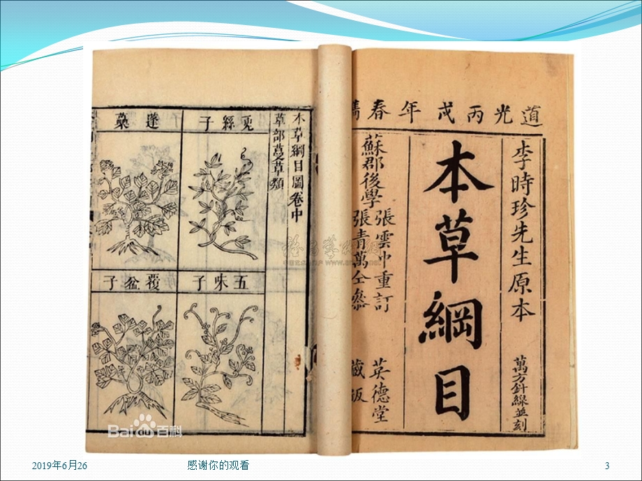 北师大版小学三年级语文下册ppt课件.pptx_第3页